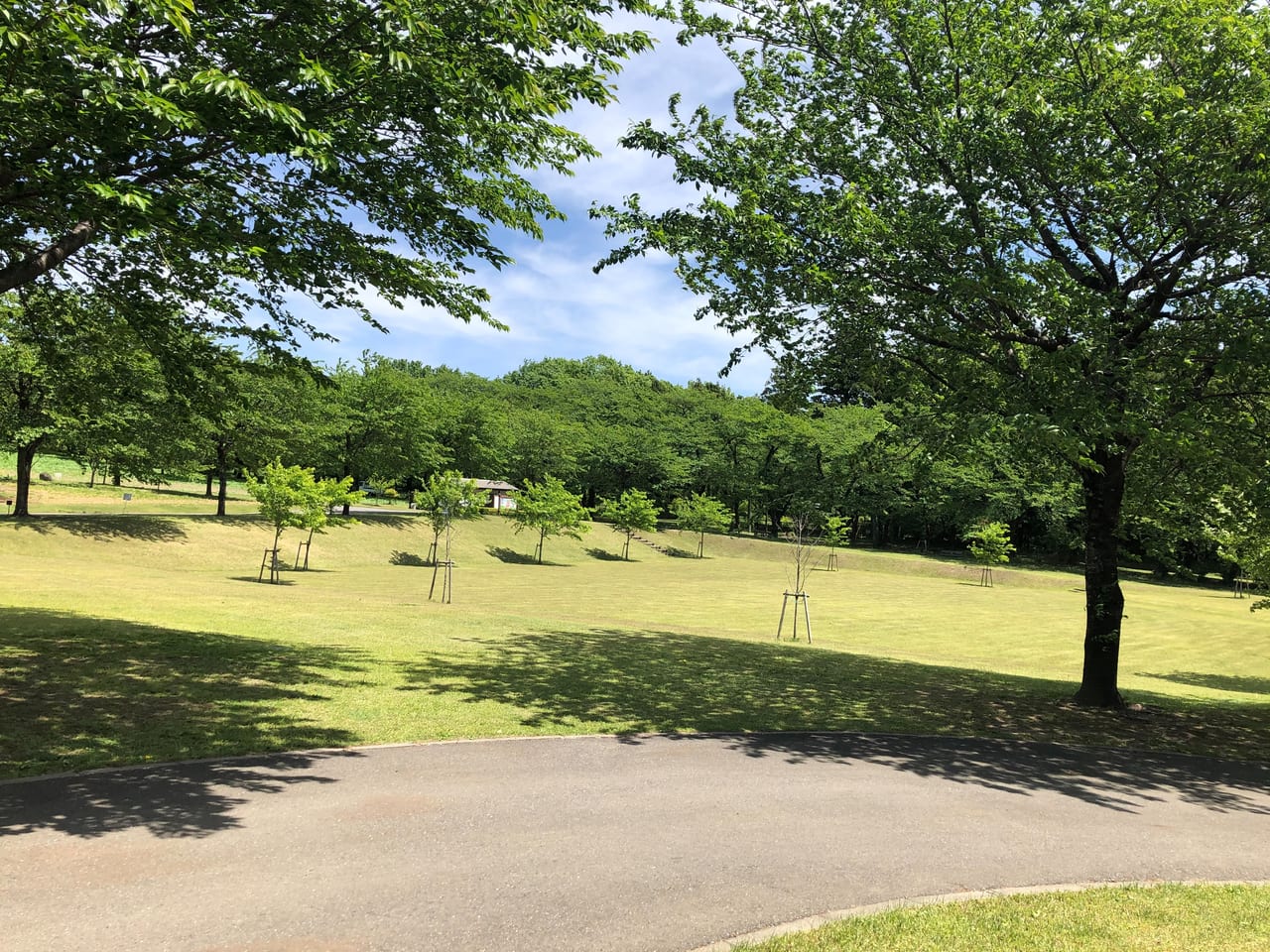 みやぎ千本桜の森公園