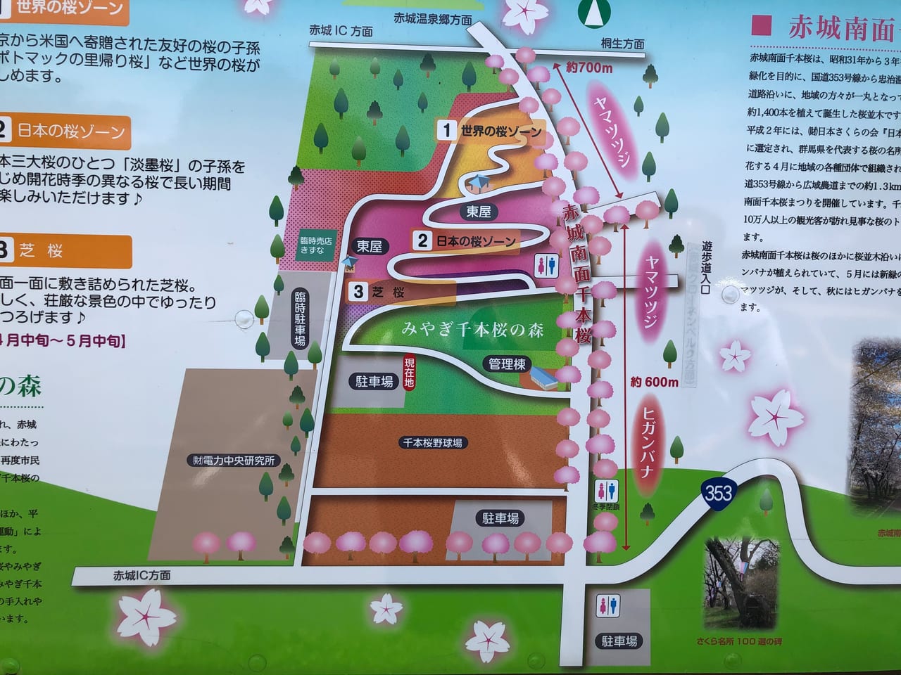 みやぎ千本桜の森公園