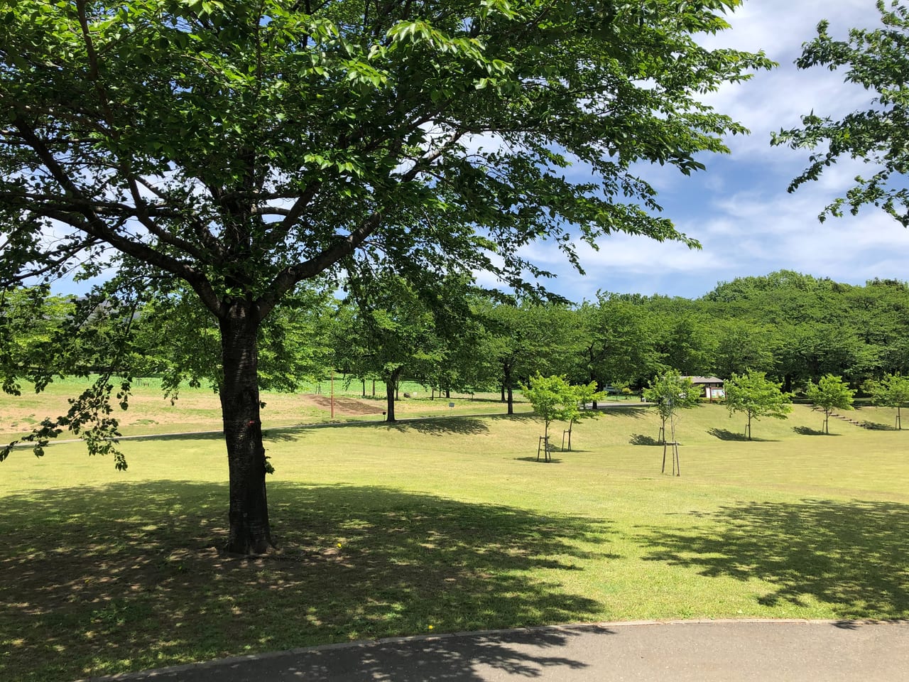 みやぎ千本桜の森公園