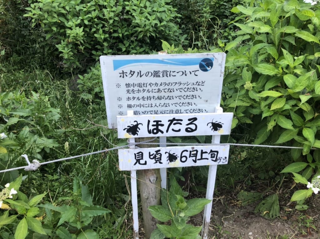 荻窪公園