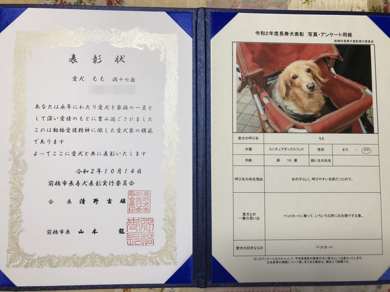 長寿犬表彰