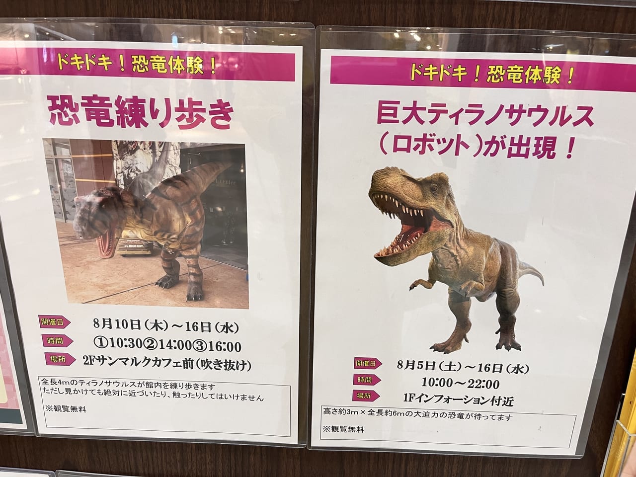 けやきウォーク前橋の恐竜体験ポスター