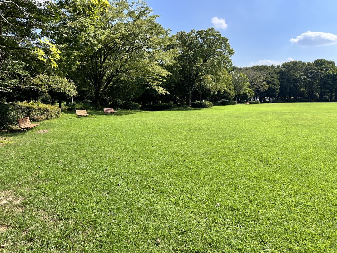 「前橋総合運動公園自由広場」の様子