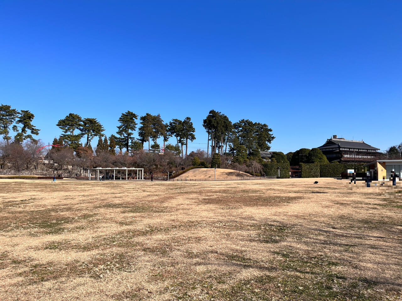 「楽歩堂前橋公園」の「みどりの散策エリア」の様子