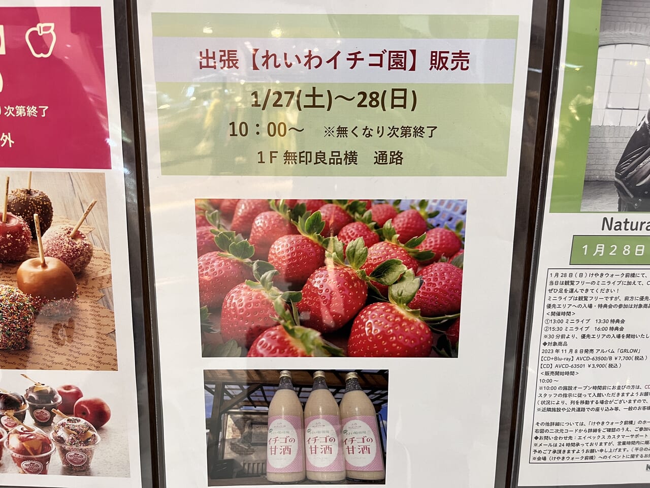 「れいわイチゴ園」の出張販売の告知ポスター