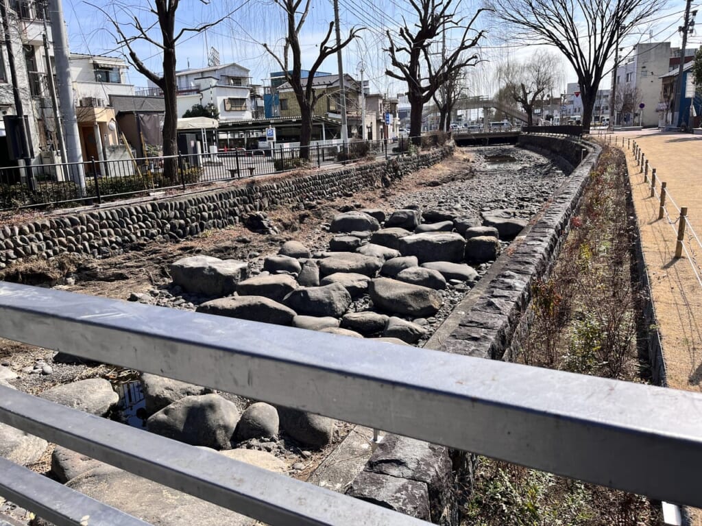 広瀬川の川底の様子