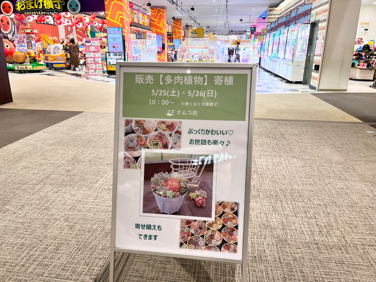 「多肉苗の販売イベント」開催告知の掲示