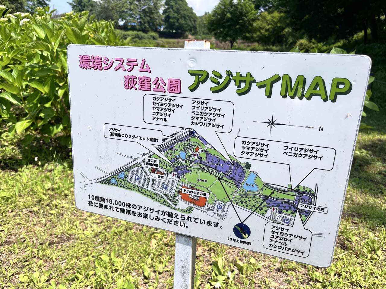 「環境システム荻窪公園」の園内アジサイMAP