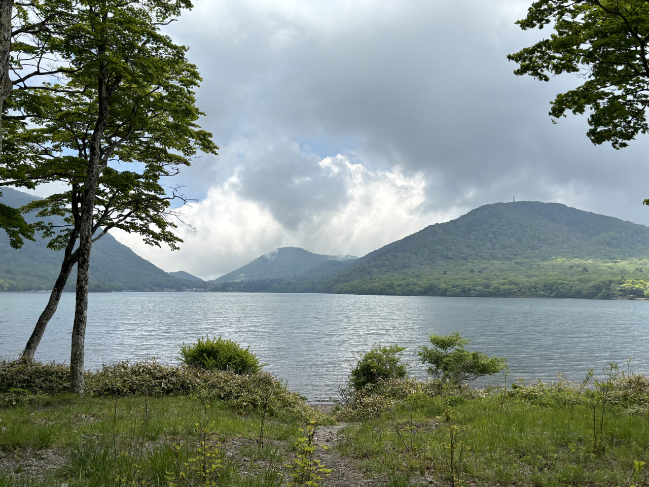 赤城大沼湖畔の様子