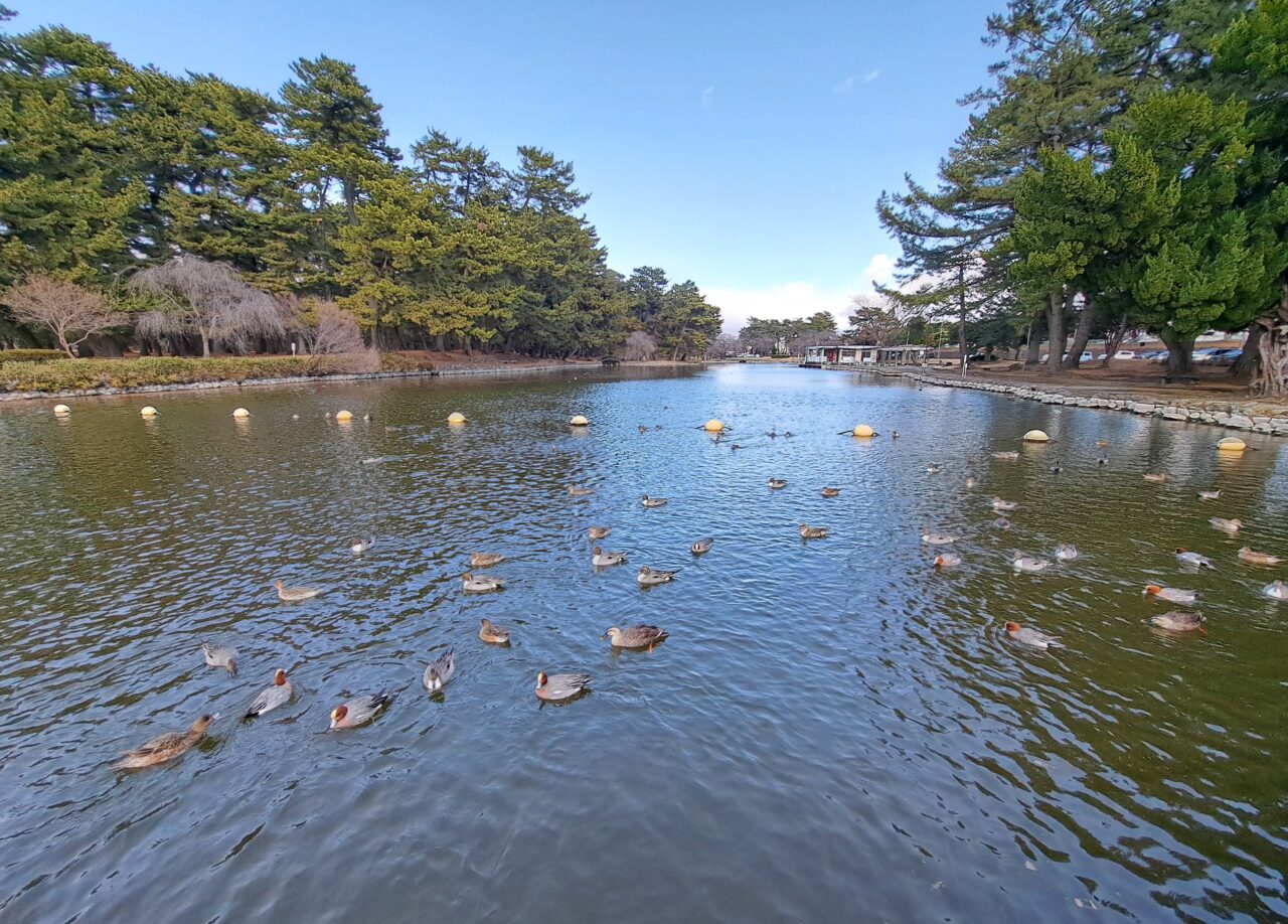 敷島公園