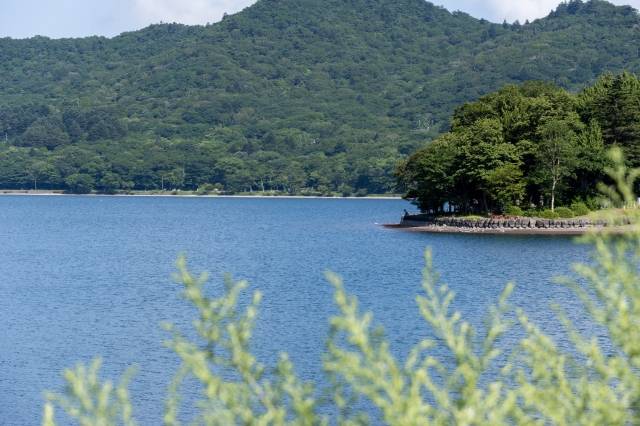 赤城大沼
