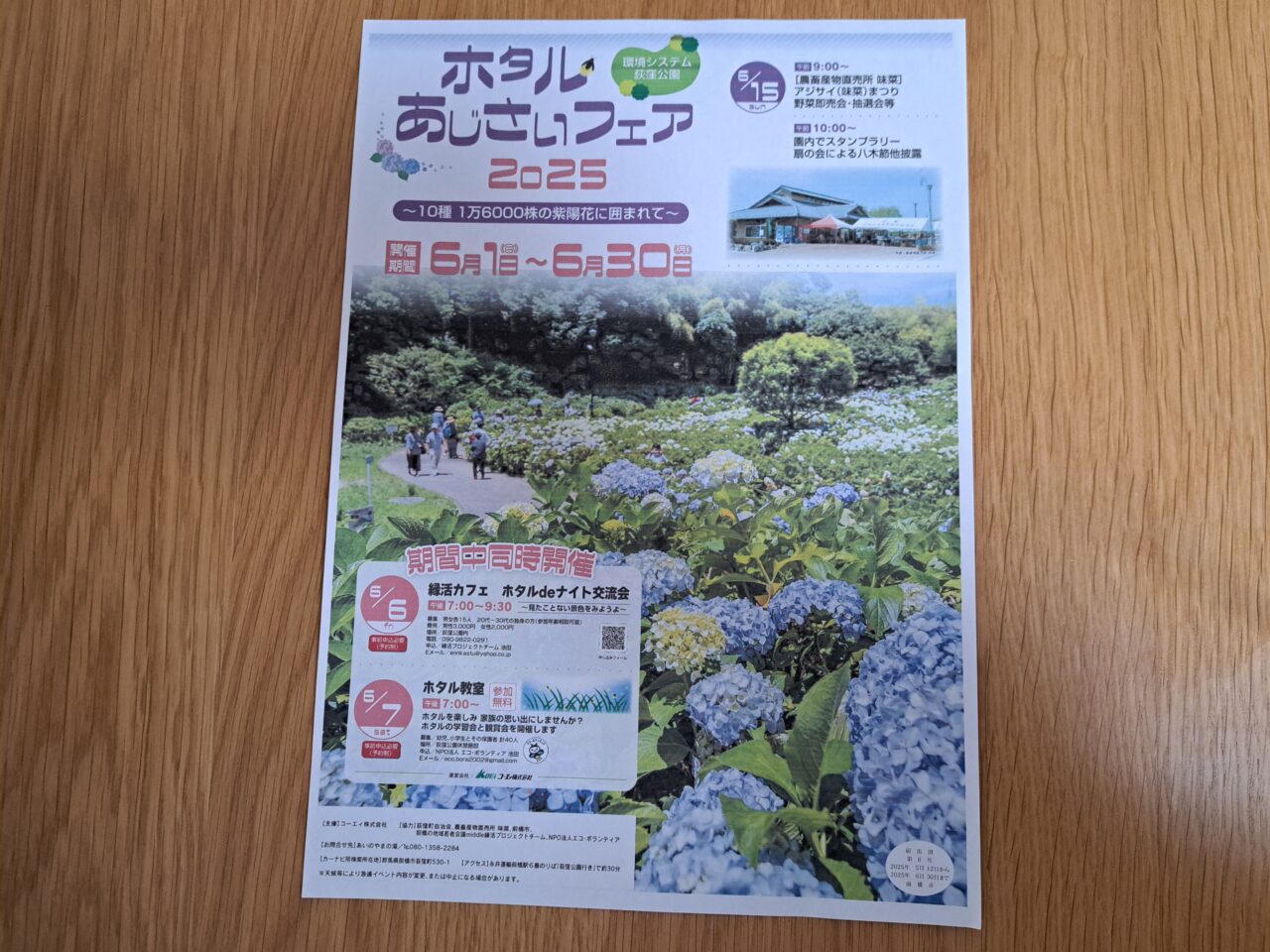 紫陽花ふぇあ