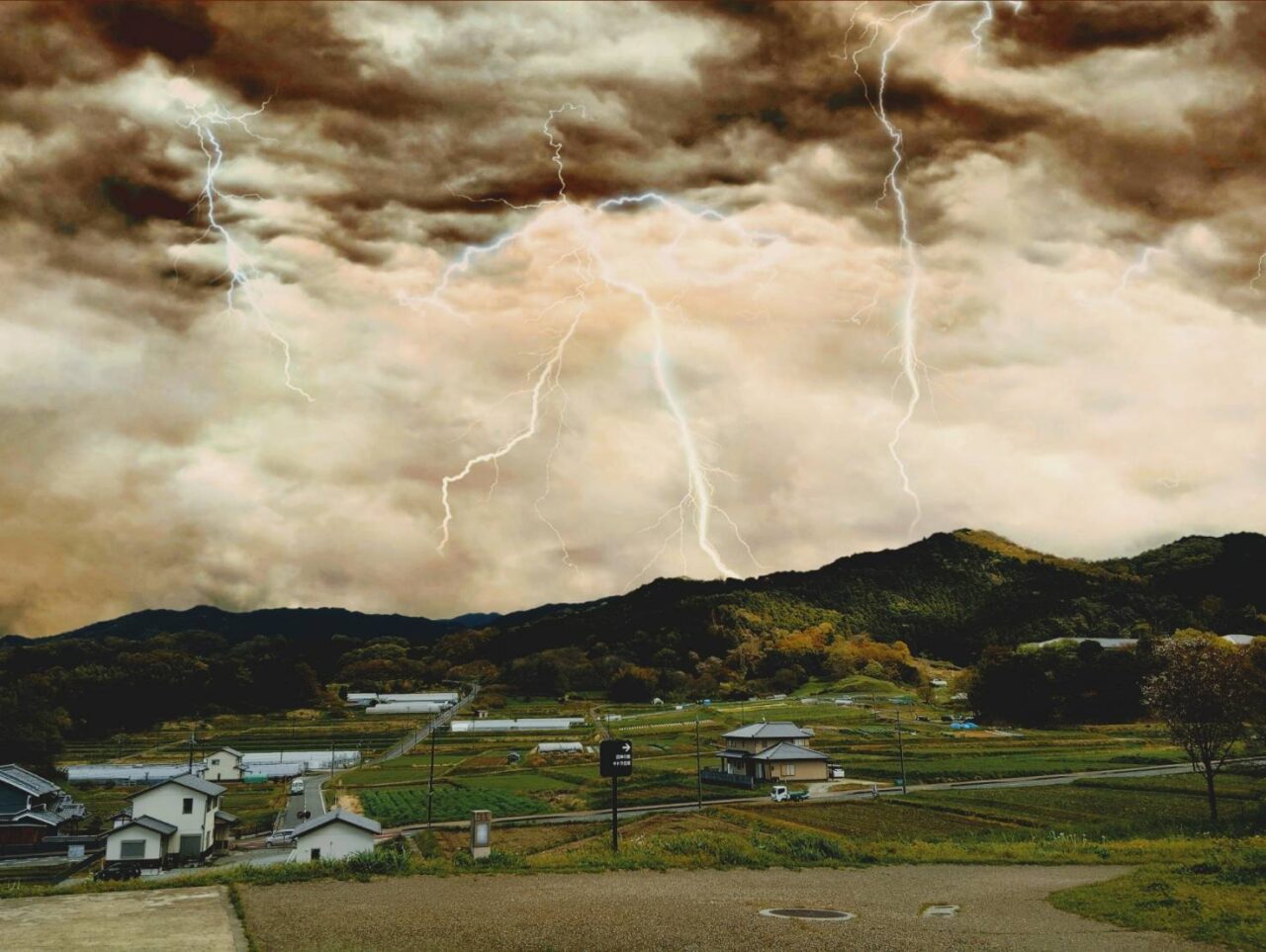 雷
