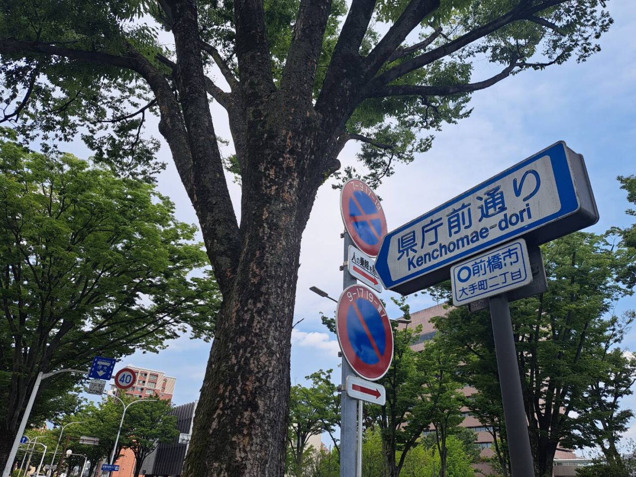 県庁前