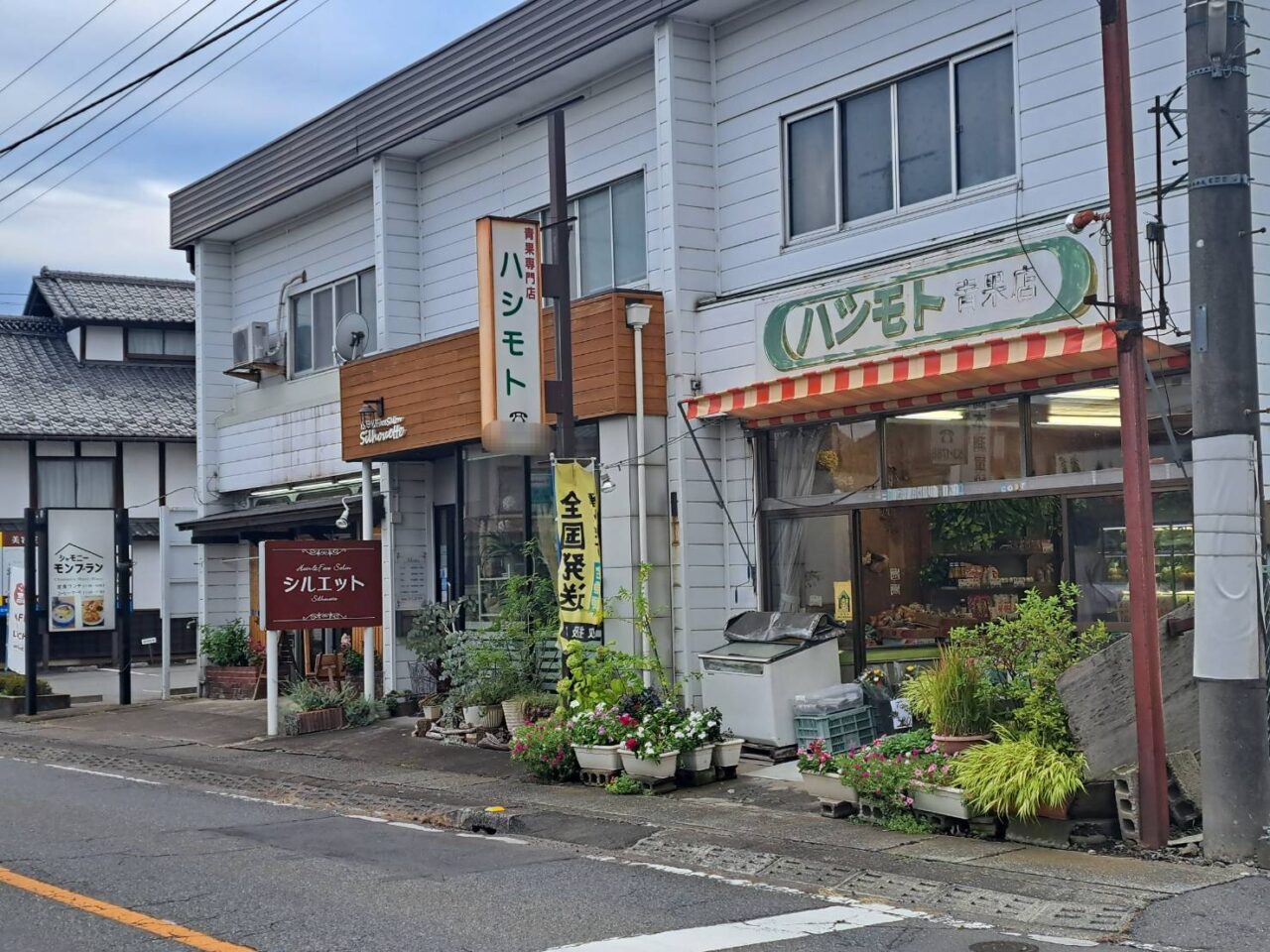 ハシモト