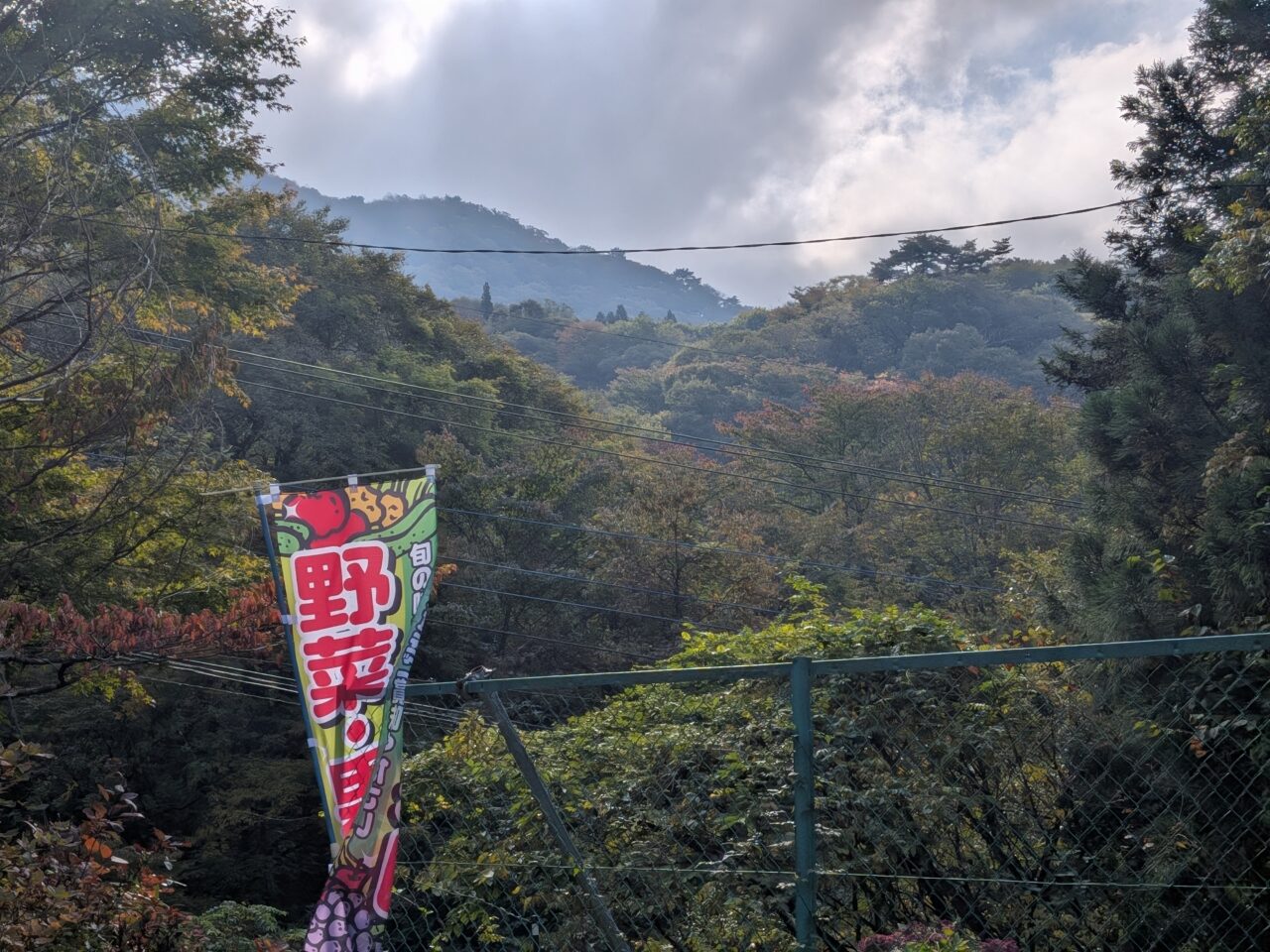 2026/10/18赤城山1000m地点の紅葉の様子を撮影